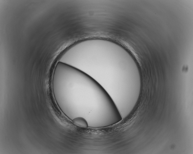 X0000097470443200802220833