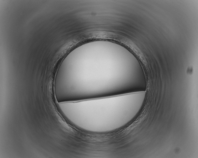 X0000097470445200802220833
