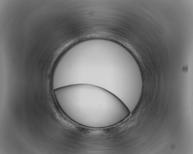 X0000097470446200802220833