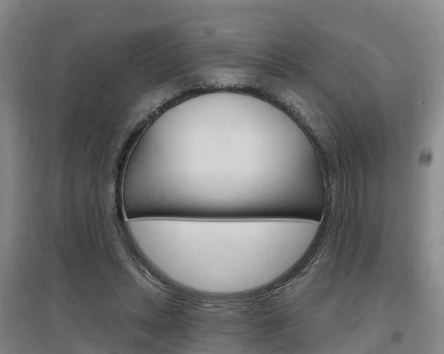 X0000097470447200802220833