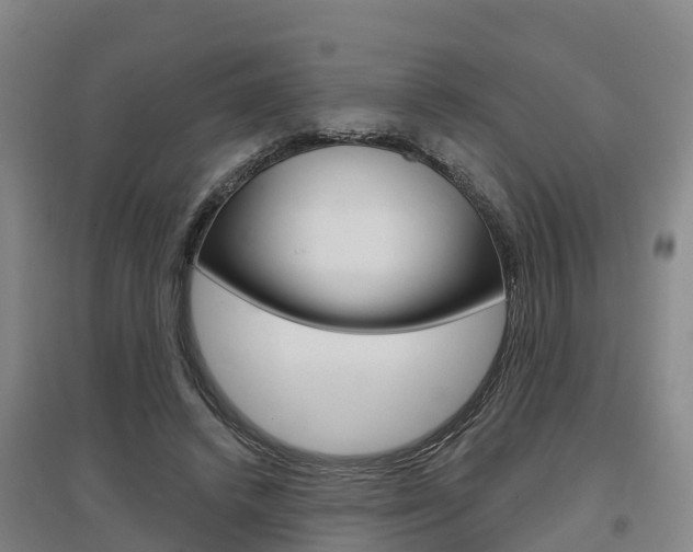 X0000097470448200802220833