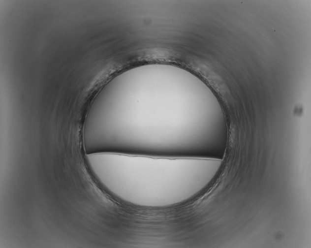 X0000097470449200802220833