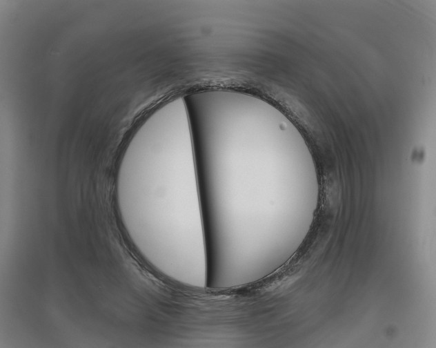 X0000097470450200802220833