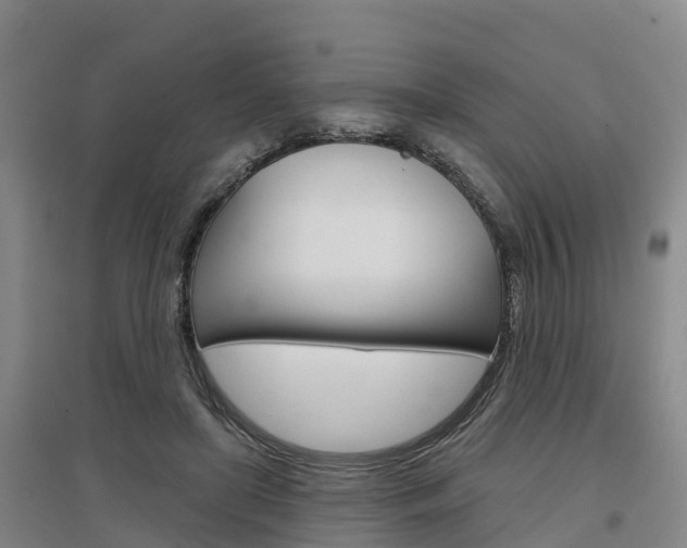 X0000097470451200802220833