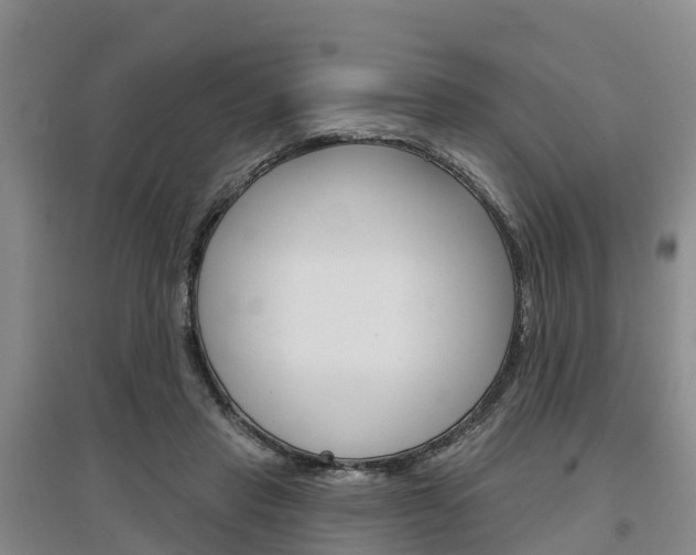 X0000097470453200802220833