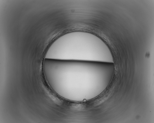 X0000097470454200802220833