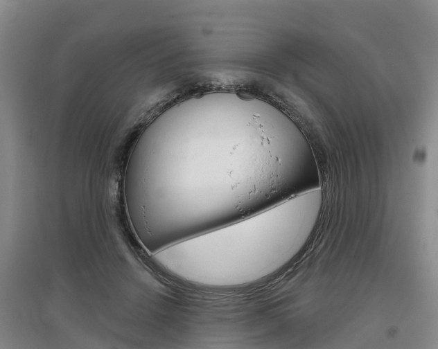 X0000097470456200802220833