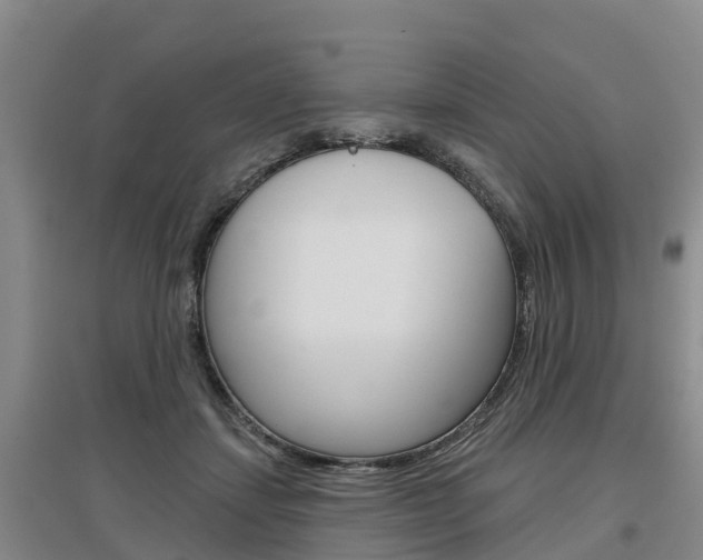 X0000097470459200802220833
