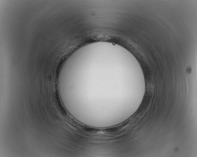 X0000097470460200802220833