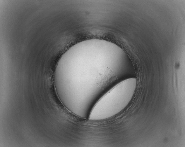 X0000097470464200802220833