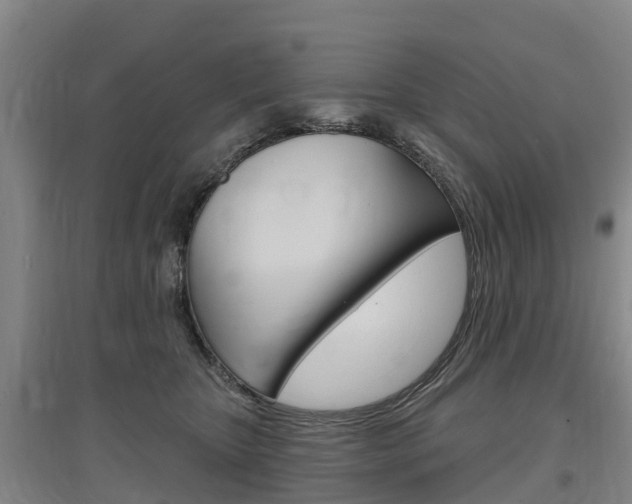 X0000097470467200802220833
