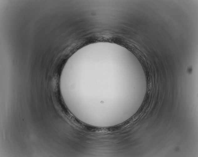 X0000097470468200802220833