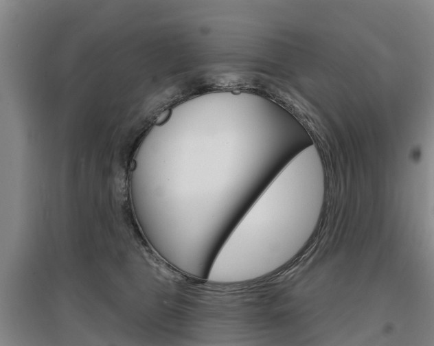 X0000097470469200802220833