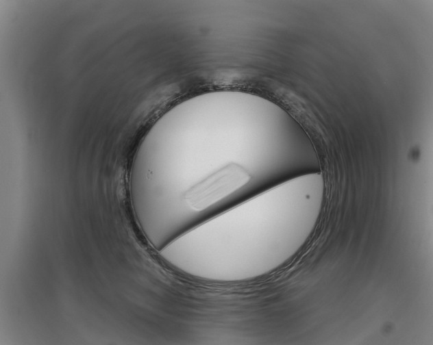 X0000097470470200802220833