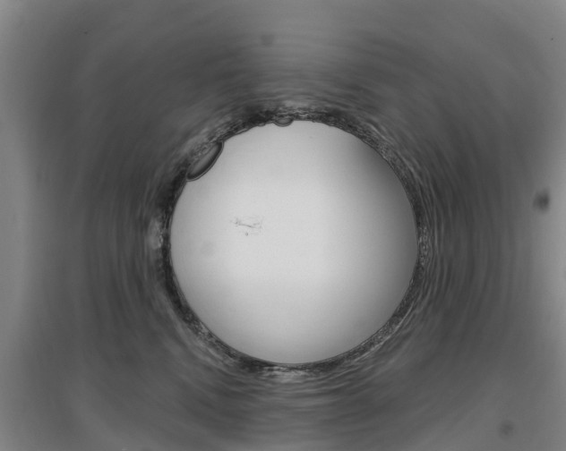 X0000097470472200802220833