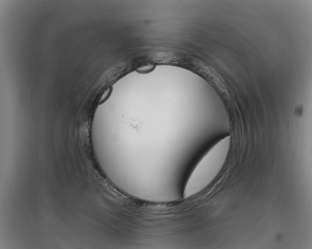 X0000097470473200802220833