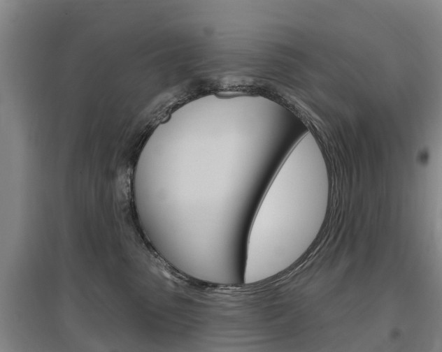 X0000097470475200802220833