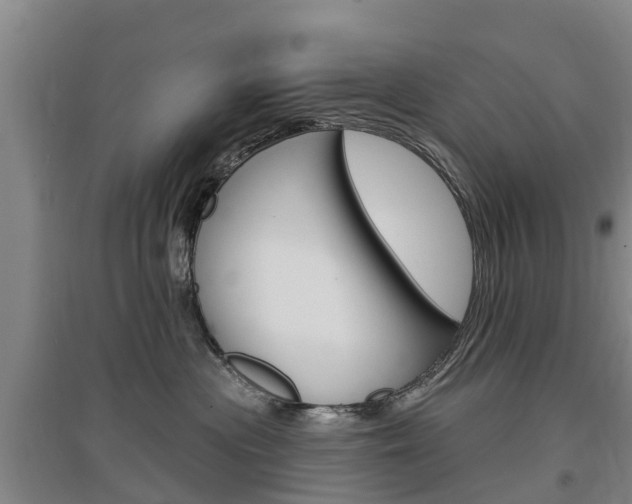 X0000097470477200802220833