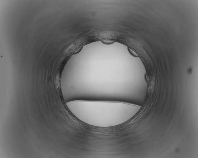X0000097470478200802220833
