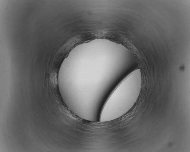 X0000097470479200802220833