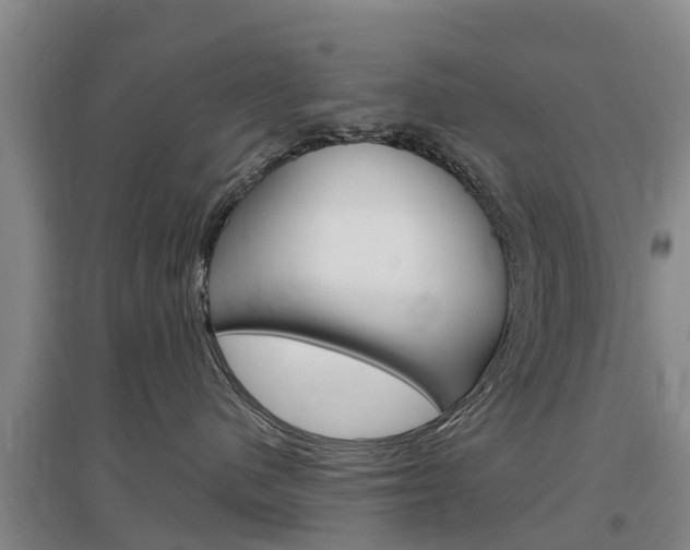 X0000097470480200802220833