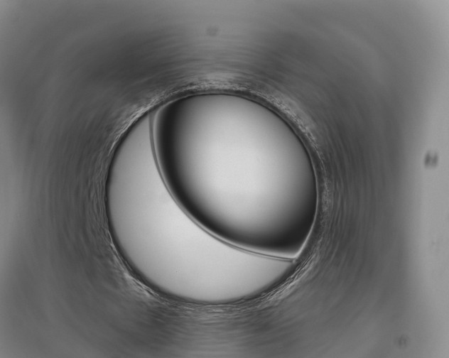 X0000097470481200802220832