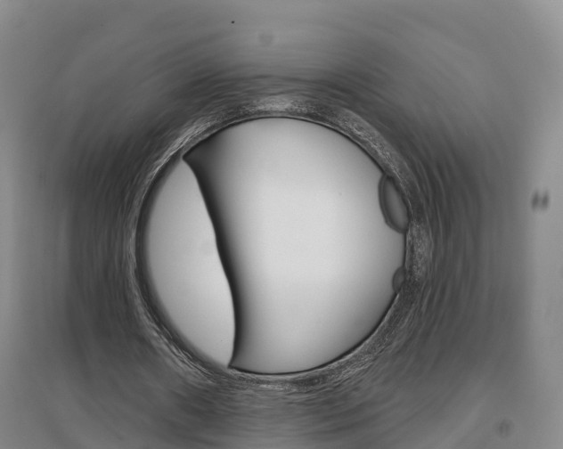X0000097470482200802220832
