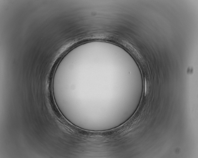 X0000097470483200802220832