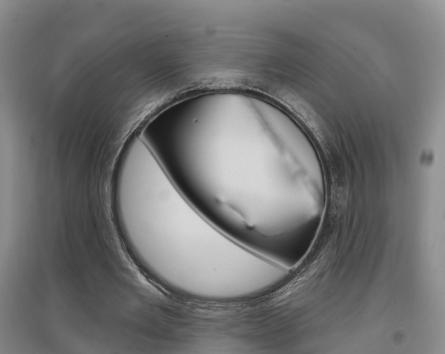 X0000097470485200802220832