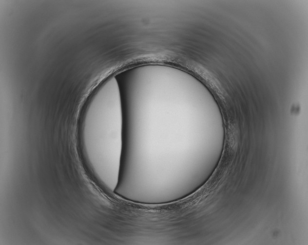 X0000097470486200802220832