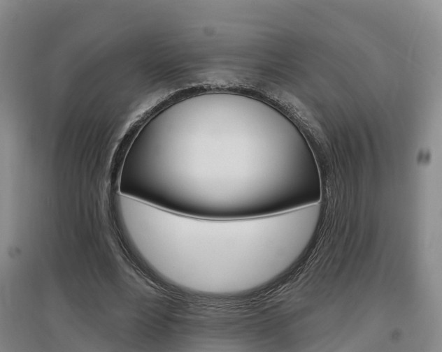 X0000097470488200802220832