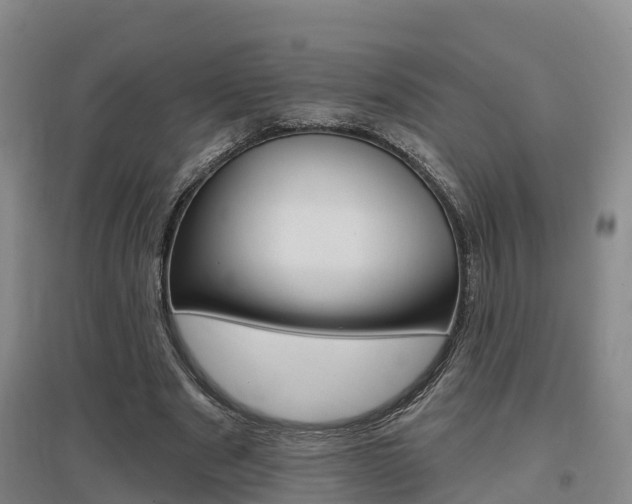 X0000097470489200802220832