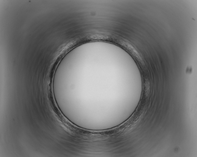 X0000097470490200802220832