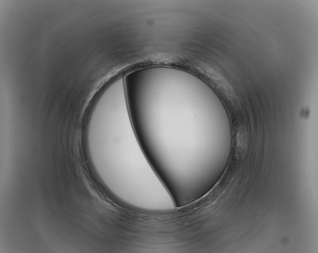 X0000097470492200802220832