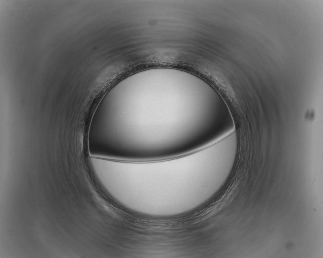 X0000097470493200802220832