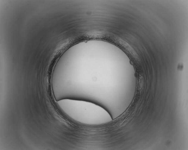 X0000097470494200802220832