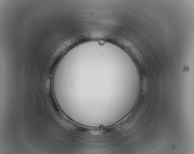 X0000097470495200802220832
