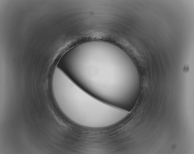 X0000097470496200802220832