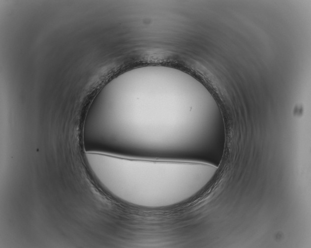 X0000097470497200802220832
