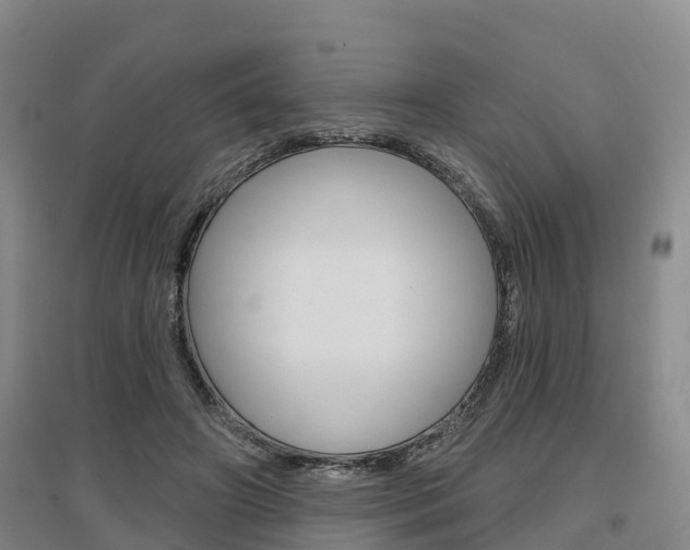 X0000097470498200802220832