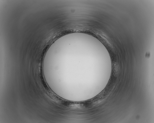 X0000097470499200802220832