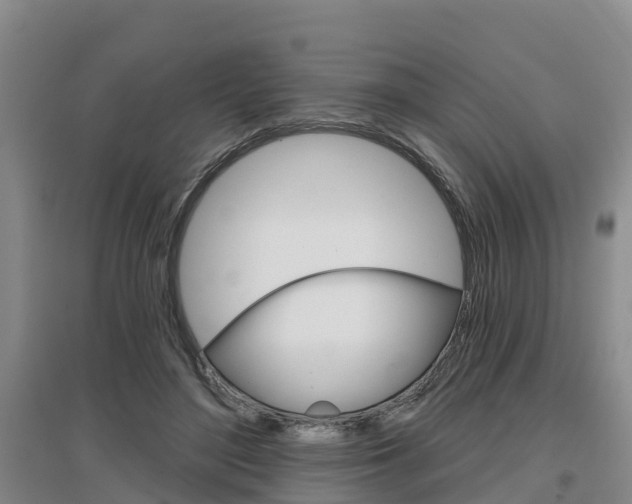 X0000097470500200802220832
