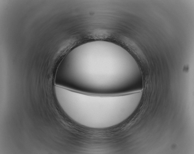 X0000097470501200802220832