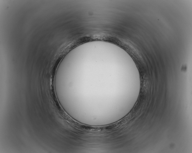 X0000097470502200802220832