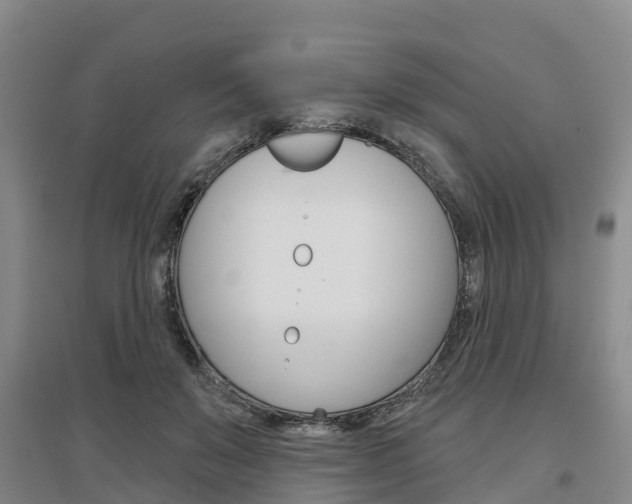 X0000097470503200802220832