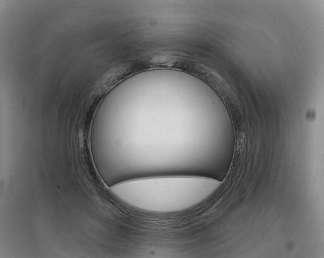 X0000097470504200802220832
