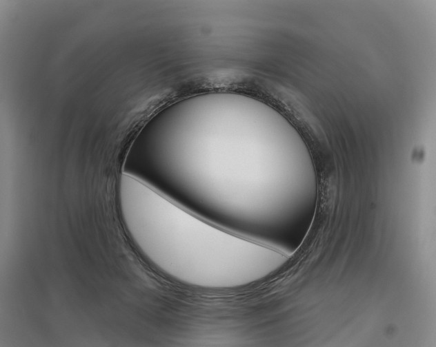 X0000097470505200802220832