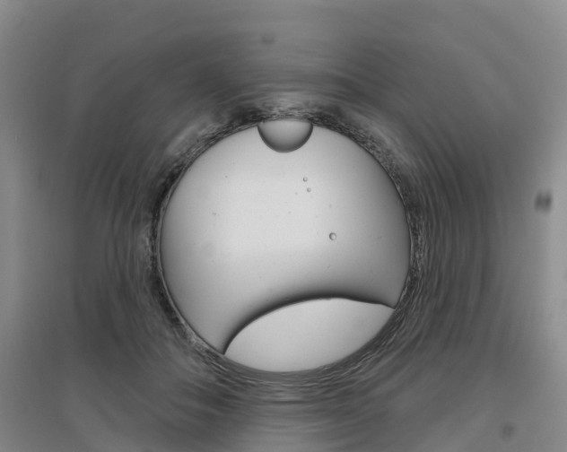 X0000097470506200802220832