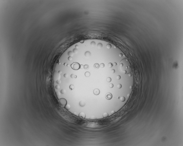 X0000097470507200802220832