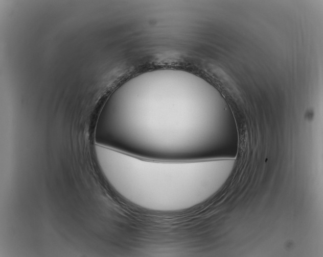 X0000097470508200802220832
